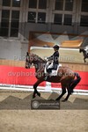 ref. photo 3501514