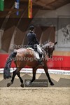 ref. photo 3501522