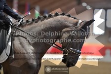 ref. photo 3501546