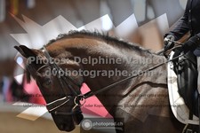 ref. photo 3501548