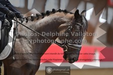 ref. photo 3501565