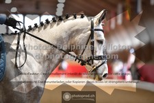 ref. photo 3501589