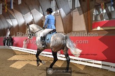 ref. photo 3501612