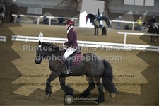 ref. photo 3501636