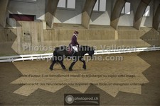 ref. photo 3501640