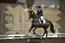 ref. photo 3501664
