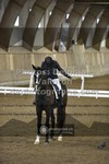 ref. photo 3501667