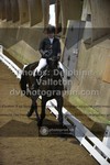 ref. photo 3501670