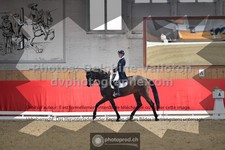 ref. photo 3501684
