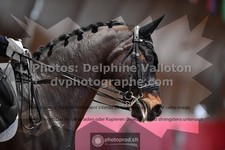 ref. photo 3501700