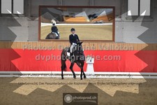 ref. photo 3501701