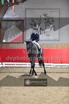 ref. photo 3501702