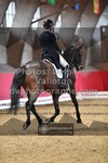 ref. photo 3501740