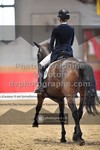 ref. photo 3501746