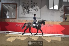 ref. photo 3501750