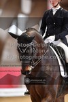ref. photo 3501759