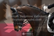 ref. photo 3501760