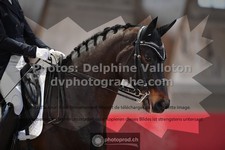 ref. photo 3501761