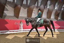 ref. photo 3501792