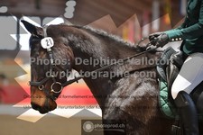 ref. photo 3501813