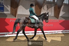 ref. photo 3501820