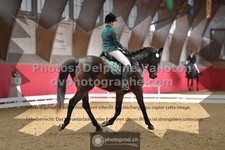 ref. photo 3501821