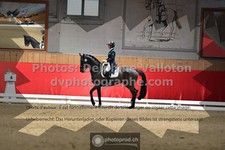 ref. photo 3501843