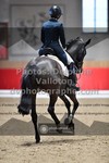 ref. photo 3501847