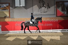 ref. photo 3501857