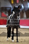 ref. photo 3501874