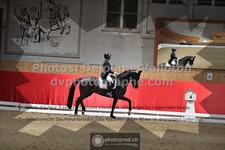 ref. photo 3501883