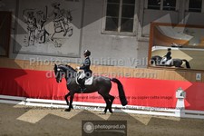 ref. photo 3501903