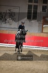 ref. photo 3501923