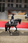 ref. photo 3501929