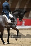 ref. photo 3501933
