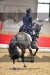 ref. photo 3502026