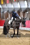 ref. photo 3502033