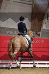 ref. photo 3502034