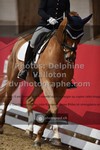 ref. photo 3502036