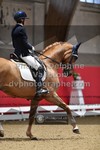 ref. photo 3502037