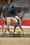 ref. photo 3502039