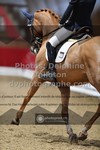 ref. photo 3502046