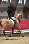 ref. photo 3502055