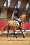 ref. photo 3502056