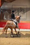 ref. photo 3502057