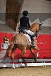 ref. photo 3502063