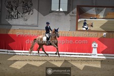 ref. photo 3502065