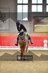 ref. photo 3502076