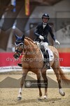 ref. photo 3502081