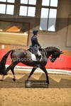ref. photo 3502106